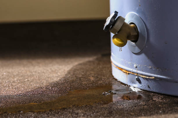Best Commercial water damage restoration  in Golden Valley, AZ