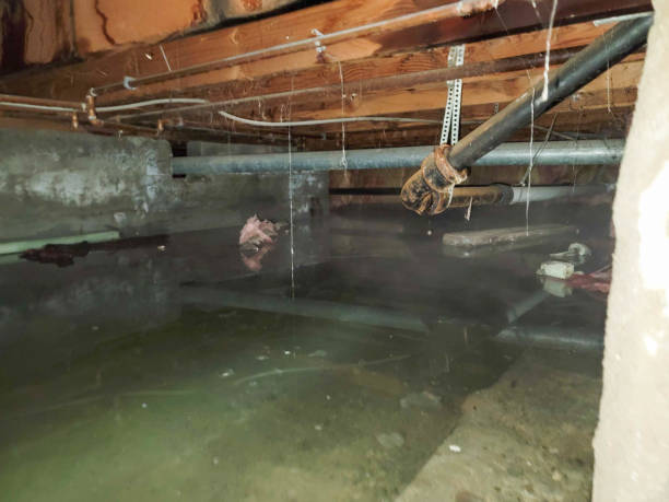 Best Fire Damage Restoration  in Golden Valley, AZ