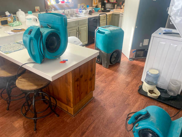 Trusted Golden Valley, AZ Water damage restoration Experts
