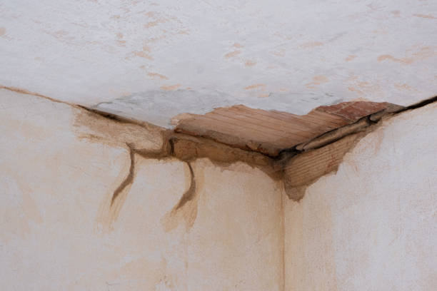 Best Water damage restoration experts  in Golden Valley, AZ