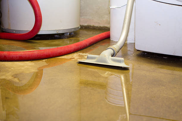 Best Sewage cleanup and water damage restoration  in Golden Valley, AZ