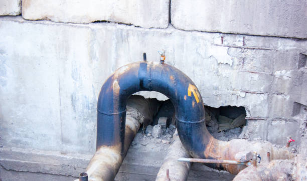 Best Carpet water damage restoration  in Golden Valley, AZ