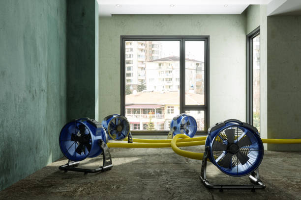Best Water damage contractors near me  in Golden Valley, AZ